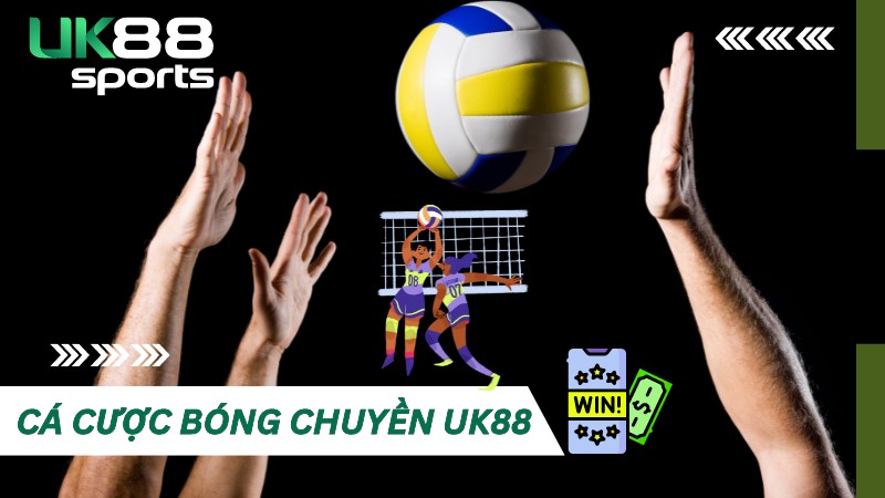 Cá cược bóng chuyền UK88: Luật chơi và kinh nghiệm cần nắm