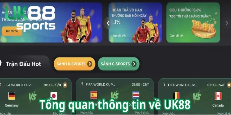 Chơi cá cược thể thao có trách nhiệm là điều bắt buộc